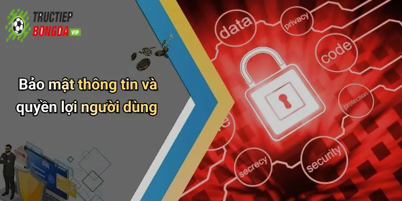 Bảo mật thông tin và quyền lợi người dùng