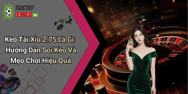 Kèo Tài Xỉu 2.75 Là Gì: Hướng Dẫn Soi Kèo Và Mẹo Chơi Hiệu Quả