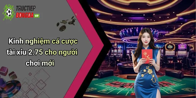 Kinh nghiệm cá cược tài xỉu 2.75 cho người chơi mới