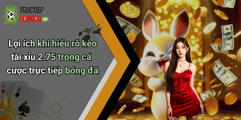 Lợi ích khi hiểu rõ kèo tài xỉu 2.75 trong cá cược trực tiếp bóng đá