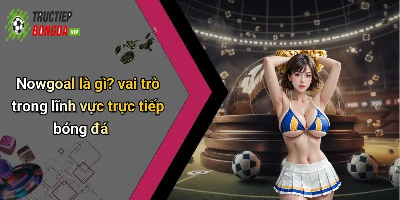 Nowgoal: Xem Bóng Đá Trực Tiếp, Cập Nhật Tỷ Số Thể Thao Cực Nhanh