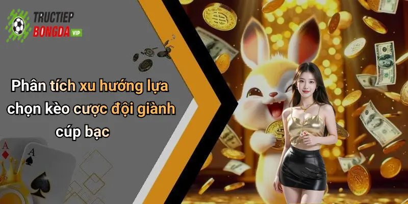 Phân tích xu hướng lựa chọn kèo cược đội giành cúp bạc