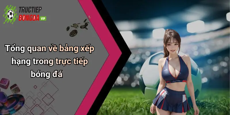 Tổng quan về bảng xếp hạng trong trực tiếp bóng đá