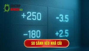 thumb - so sánh kèo nhà cái