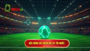 Kèo bóng đá Socolive - Cẩm nang soi kèo và cập nhật tỷ lệ trực tuyến cực chuẩn