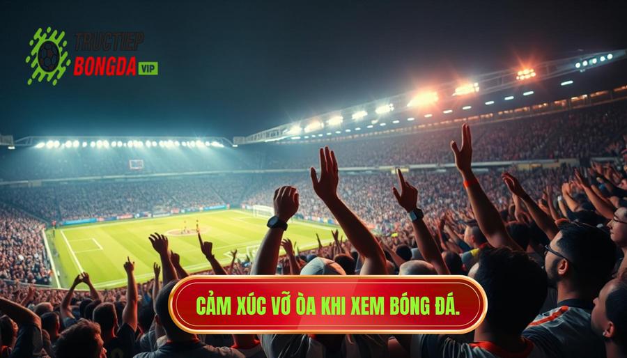 Tại sao xem bóng đá trực tiếp lại mang đến cảm xúc đặc biệt?