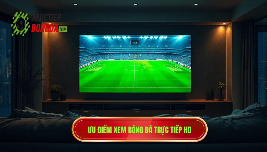 Tại sao xem bóng đá trực tiếp full HD lại là ưu tiên hàng đầu?