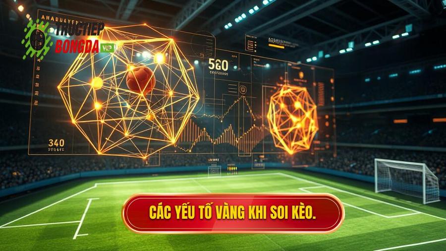 Phân Tích Đa Chiều: Những Yếu Tố "Vàng" Khi Soi Kèo