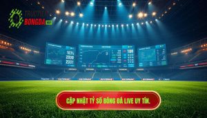 Cập nhật tỷ số bóng đá live: Trải nghiệm nhịp đập sân cỏ trong lòng bàn tay