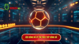 Hướng Dẫn Soi Kèo Bóng Đá Chuẩn Xác Từ Chuyên Gia 2024